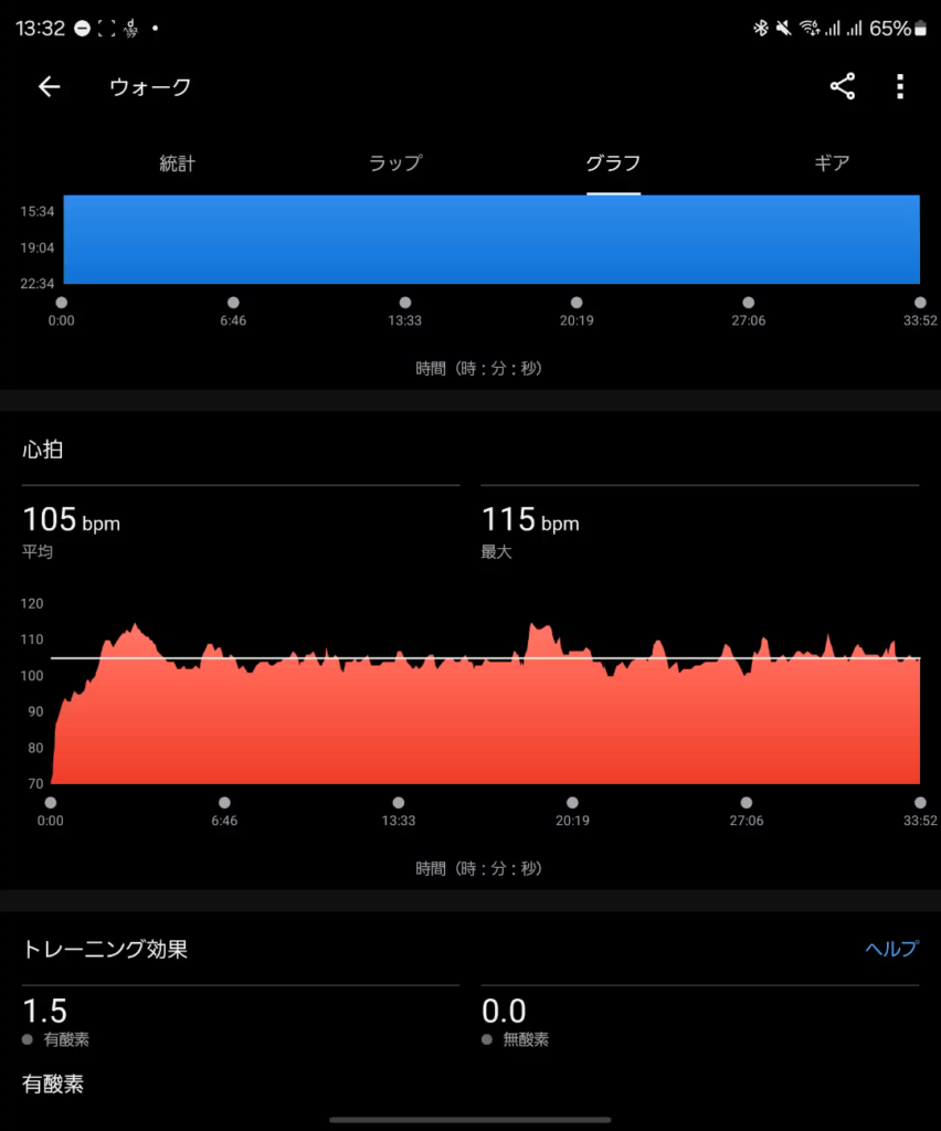 garmin-forerunner-165-activity-datas